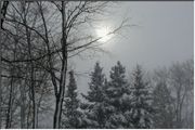 Feb 5-2003